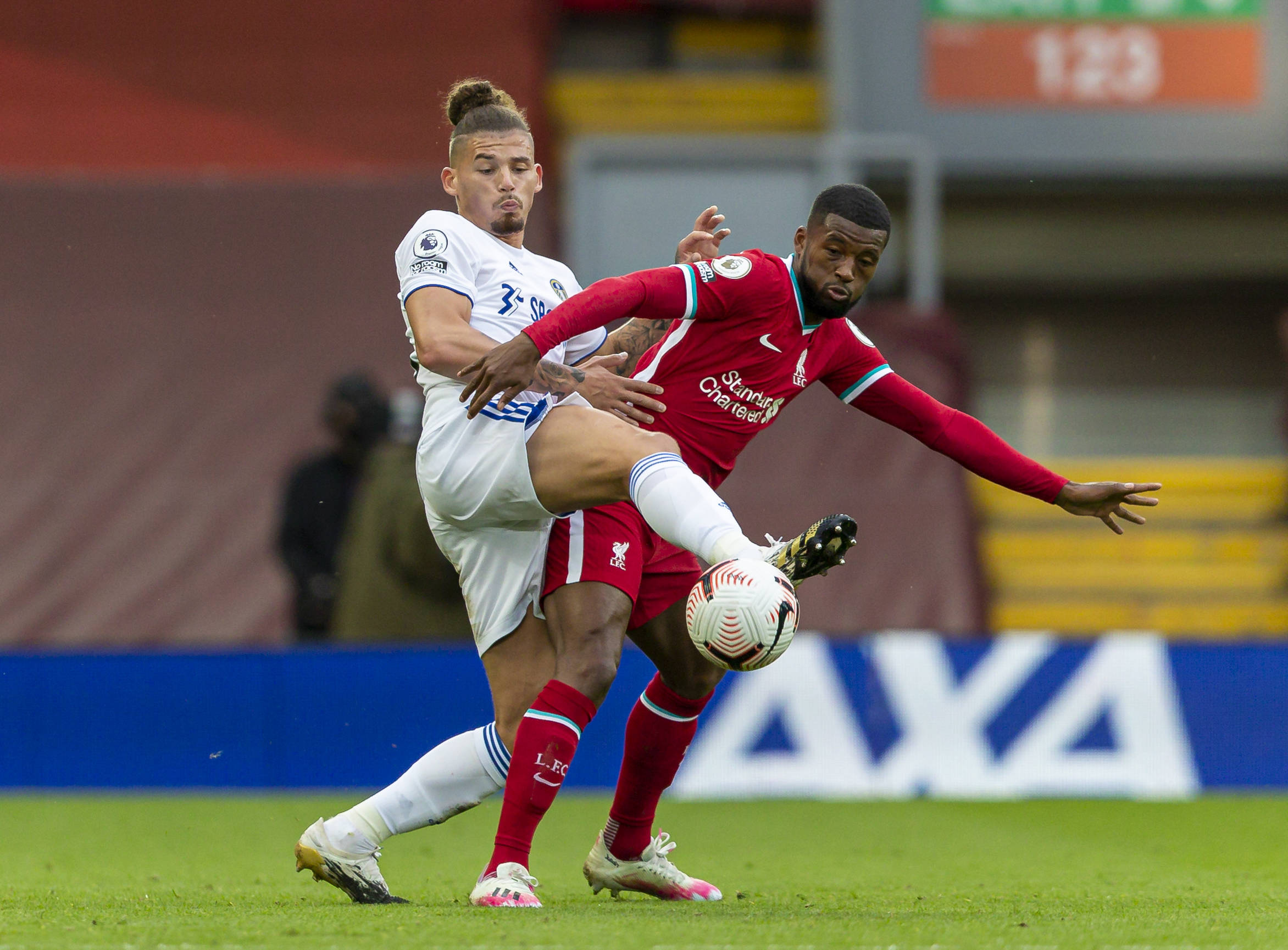 更可能成为 更可能成为